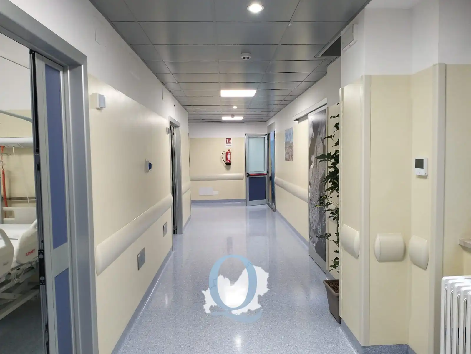 Virus Ebola: l'ospedale Cardarelli di Campobasso è il centro di riferimento regionale